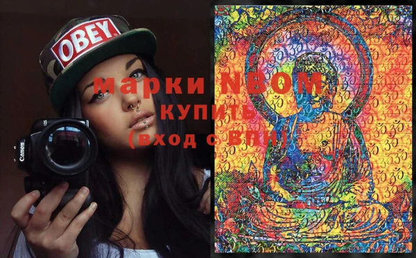 гашик Алексин