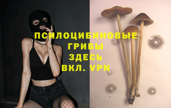 твердый Абинск