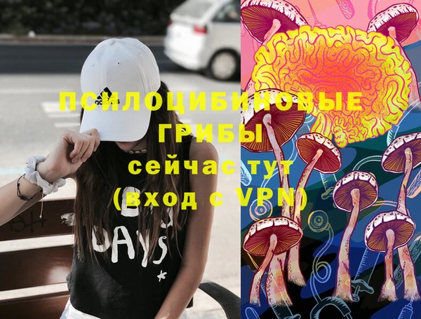 Альфа ПВП Абдулино