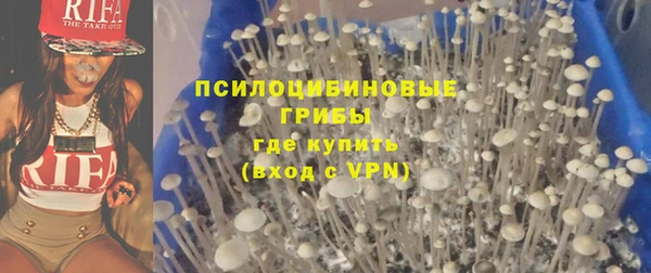 гашик Алексин