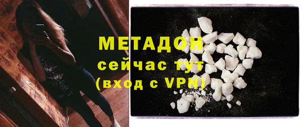 гашик Алексин