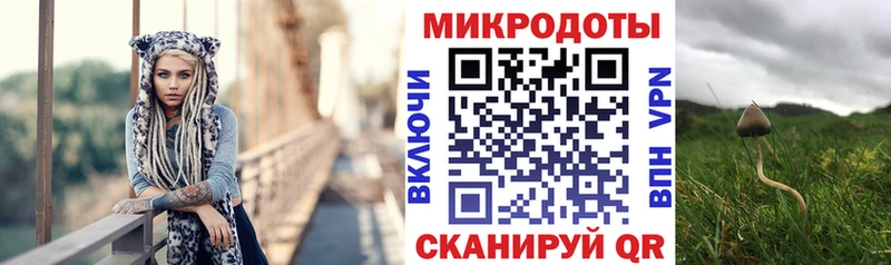 как найти наркотики  Ковров  Галлюциногенные грибы MAGIC MUSHROOMS 