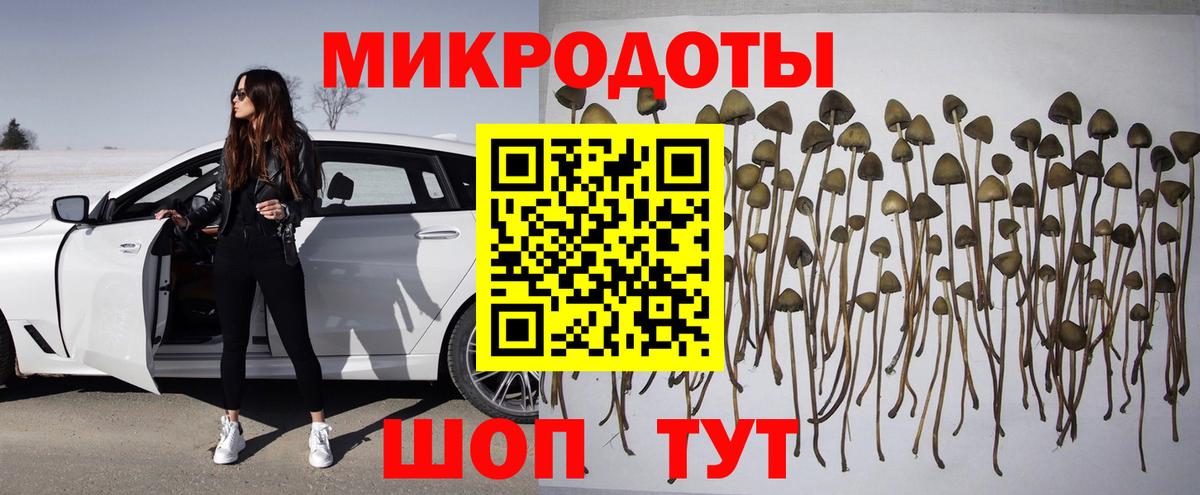 Галлюциногенные грибы Psilocybine cubensis Ковров